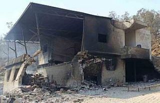 Mersin Valiliği: " Yangınlar kontrol altına...