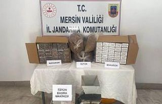 Mersin’de makaron kaçakçılığı yapan 2 şüpheli...