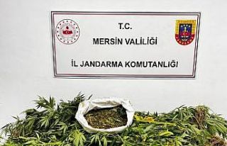 Mersin’de uyuşturucu operasyonu