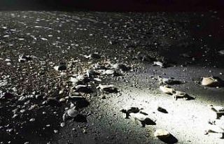 Mersin’de yönünü şaşıran yavru kaplumbağalar...