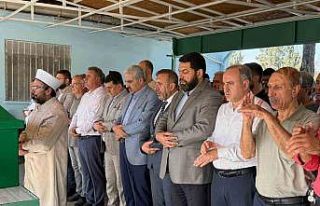 Mersin’deki kazada hayatını kaybeden Farah Diyarbakır’da...