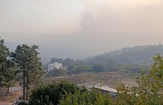 Mersin’deki orman yangını 2. gününde