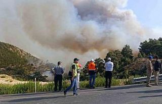Mersin’deki orman yangını: 5 ilden takviye geldi...