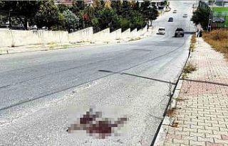 Mezarlık önünde kardeş kavgası cinayetle bitti:...