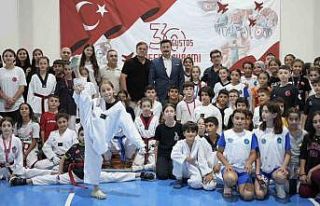 Minikler Taekwondo Şampiyonası Yenişehir’de yapıldı