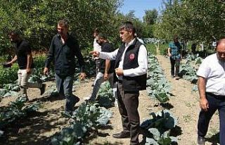 Modern basınçlı sulama sistemiyle hem işçilikten...