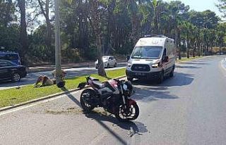 Motosiklet palmiye ağacına çarptı, sürücü yaralandı