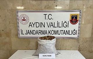 Motosikletli incir hırsızı jandarmadan kaçamadı