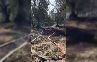 Mudanya’da korkutan yangın