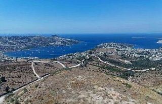 Muğla’da 163 futbol sahası vahşi depolama alanı...