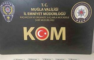 Muğla’da sahte dolar operasyonu