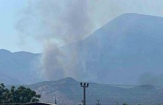 Muğla’daki yangını söndürme çalışmaları...