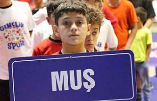 Muş’ta 17 ilden 250 sporcu minderde buluştu