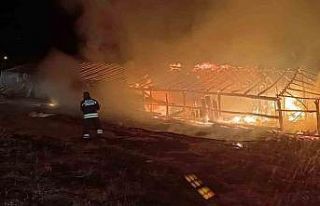 Muş’ta ahır yangını: Hayvanlar son anda kurtarıldı