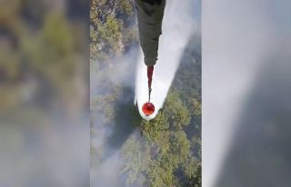 OGM: "Çakaltepe mevkiinde, ormana sıçrayan...