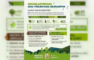 OGM tarafından orman yangınlarından sonra yapılan...