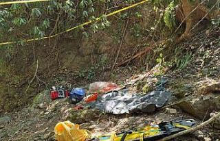 Ordu’da fındık toplarken uçurumdan düşen vatandaş...