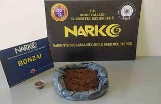 Ordu’da uyuşturucu operasyonlarında 2 tutuklama
