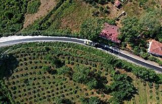 Ordu’da yollara sıcak asfalt çalışmaları sürüyor