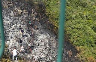 Orhangazi’de orman yangını korkuttu