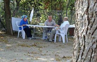 Orman yangınında 60 yıl sonra aynı acıyı yaşadı