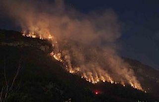 Orman yangınında 9 saat geride kaldı