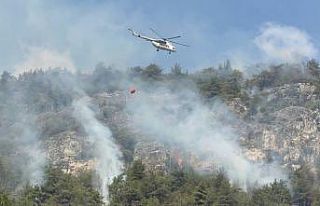 Orman yangınında alevler yeniden etkili olmaya başladı