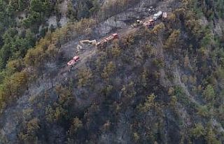 Orman yangınında zarar gören alanlar dronla görüntülendi
