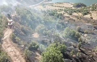 Ormanlık alanda çıkan yangın büyümeden söndürüldü