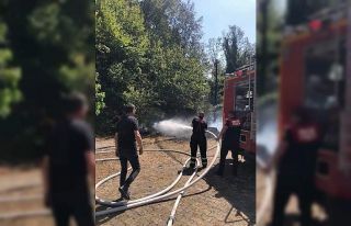 Ormanlık alanda yangın