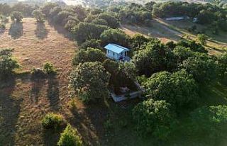 Ormanlık alandaki Horasan şehidi Genç Abdal türbesi...