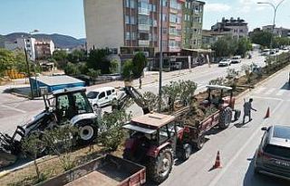 Osmaneli estetiğine yeni adım