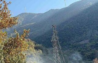 Osmaniye’de orman yangını