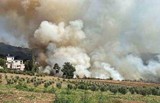 Osmaniye’de ormanlık alanda yangın çıktı