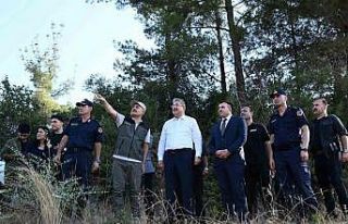 Osmaniye’deki orman yangını kontrol altına alındı