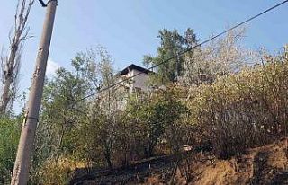 Otluk alanda çıkan yangın evlere sıçramadan söndürüldü