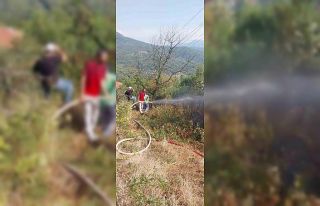 Otluk alanda çıkan yangın evlere ve ormanlık alana...
