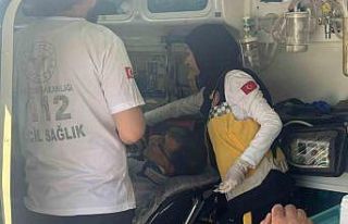 Otomobil ile kamyon çarpıştı: 1 yaralı