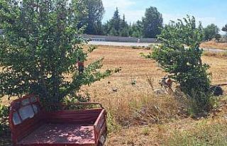 Otomobil ile üç tekerlekli motosiklet çarpıştı:...