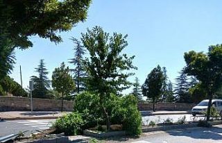 Otomobil takla attı: 1 yaralı