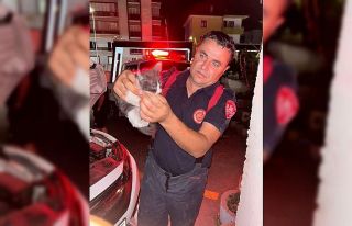 Otomobilin motor kısmına girerek sıkışan yavru...