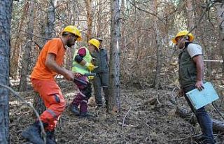 Palandöken’de yangına karşı seferberlik