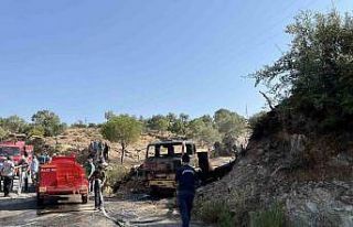 Park halindeki kamyon tamamen yandı