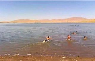 Patnos Barajı serinlemek isteyenlerin adresi oldu