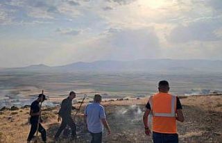 Patnos’ta dağlık alanda çıkan ot yangını kontrol...