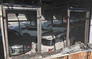 Pendik’te arazi yangını: Milyonluk sıfır araçlar...