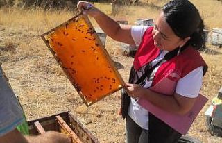 Pınarhisar’da arılı kovan tespit çalışması...
