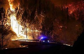 Portekiz’de orman yangınında ölü sayısı 3’e...