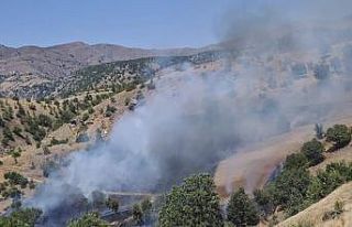 Pütürge’de orman yangını