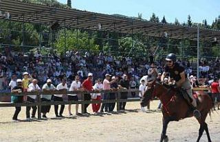 Rahvan at yarışları heyecanında sıra Gölcük...